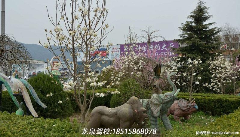 龙泉驾校校园一角