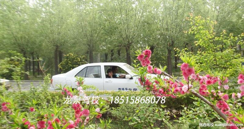 龙泉驾校校园一角